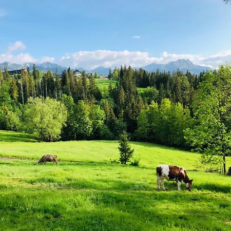 Apartment Tatrzanska Polana 5e Zakopane